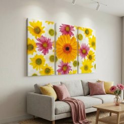 Gerbera Expression