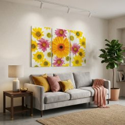 Gerbera Expression