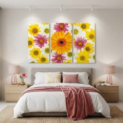 Gerbera Expression
