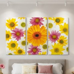 Gerbera Expression